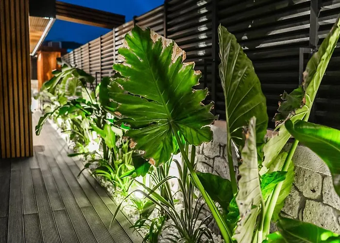 酒店 The Grey Alacati